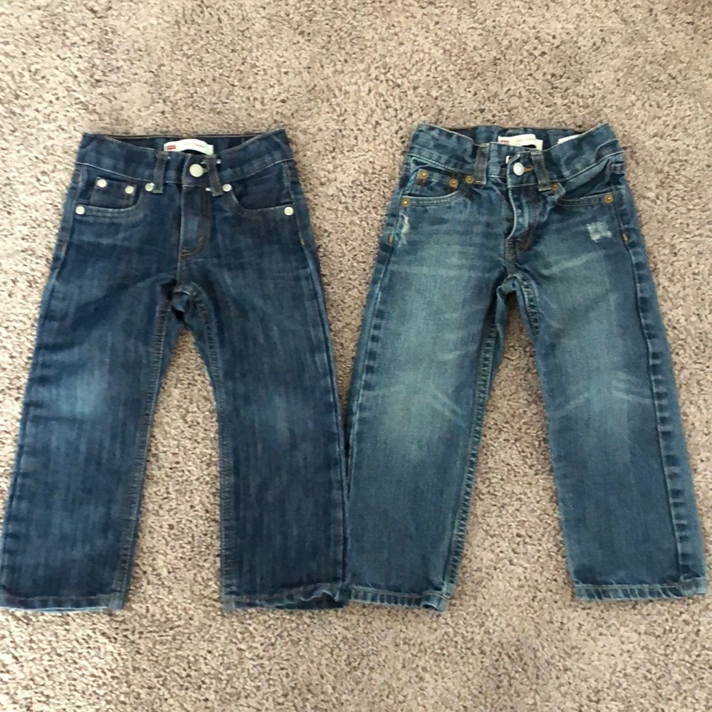 3T Levi bundle
